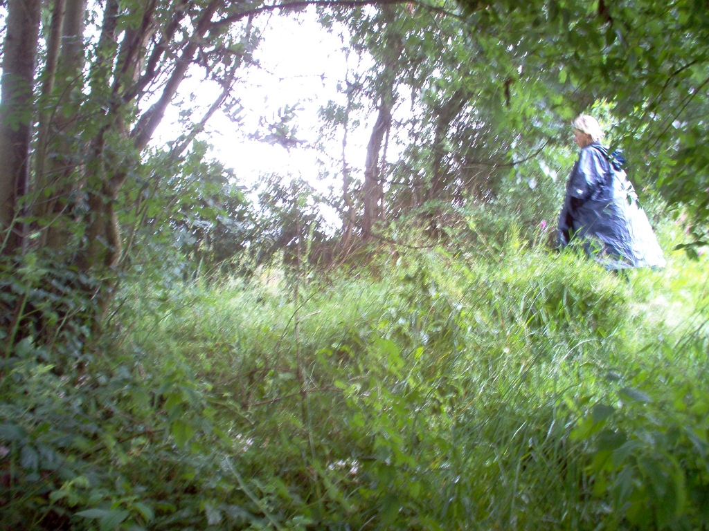 20110000 LA PAVÉE Pont-Farcy 25.jpg - IM000285.JPG